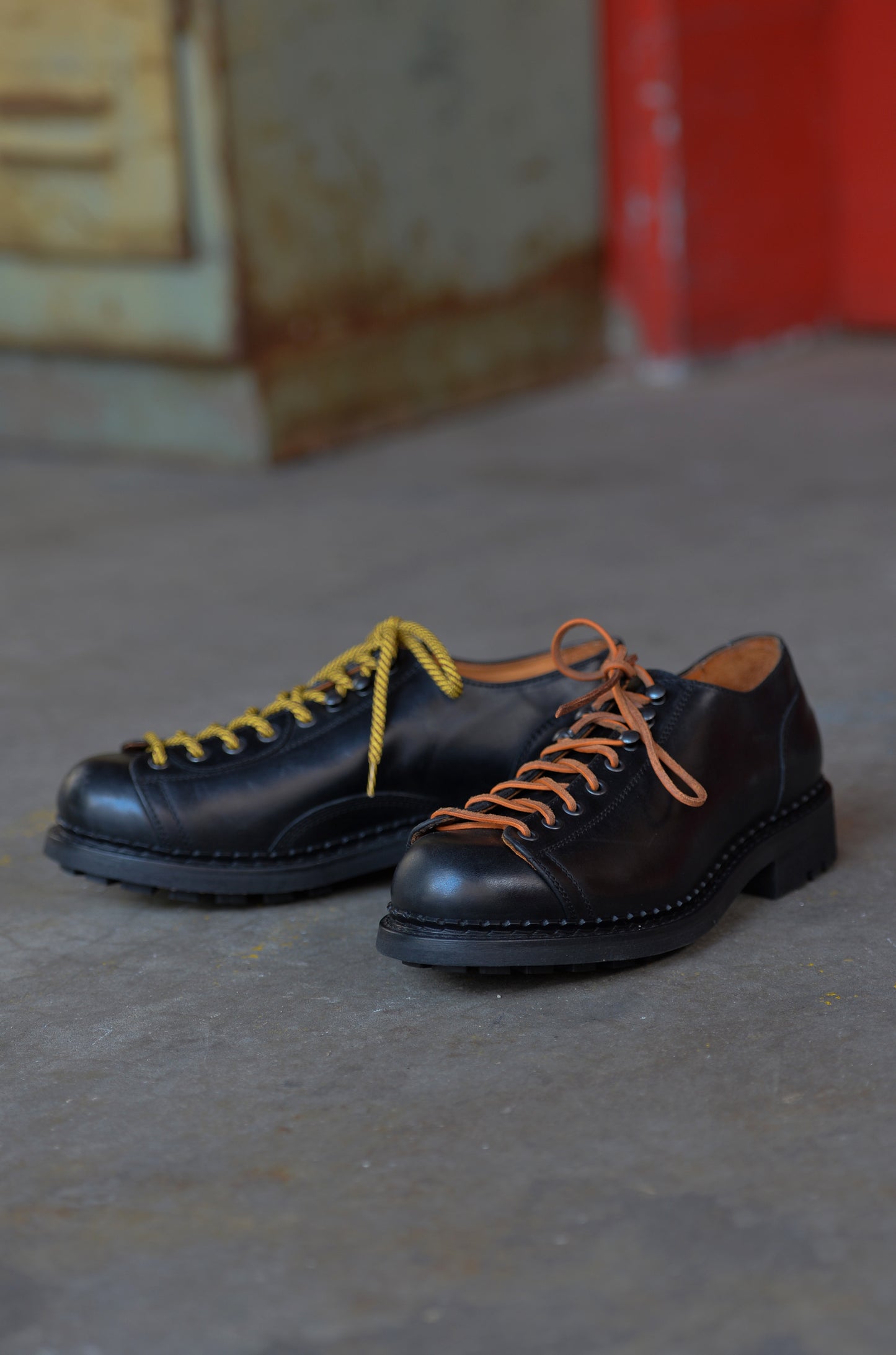 Grizzly Black Chief Low Cut
